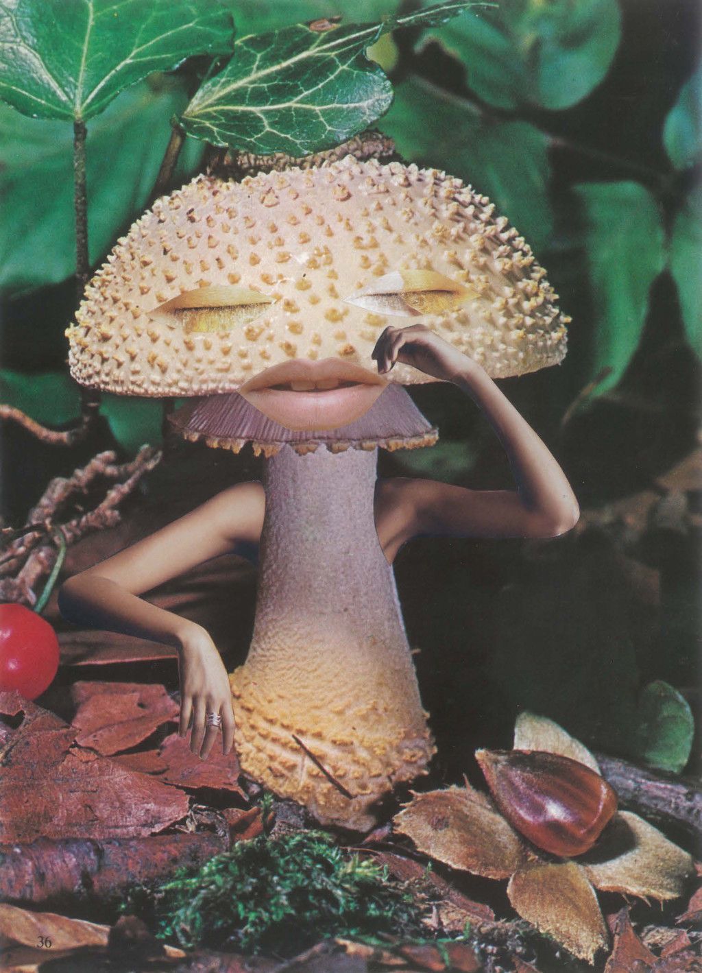 1.-Seana-Gavin-%E2%80%98Mindful-Mushroom%E2%80%99-courtesy-of-the-artist-1024x1419.jpg