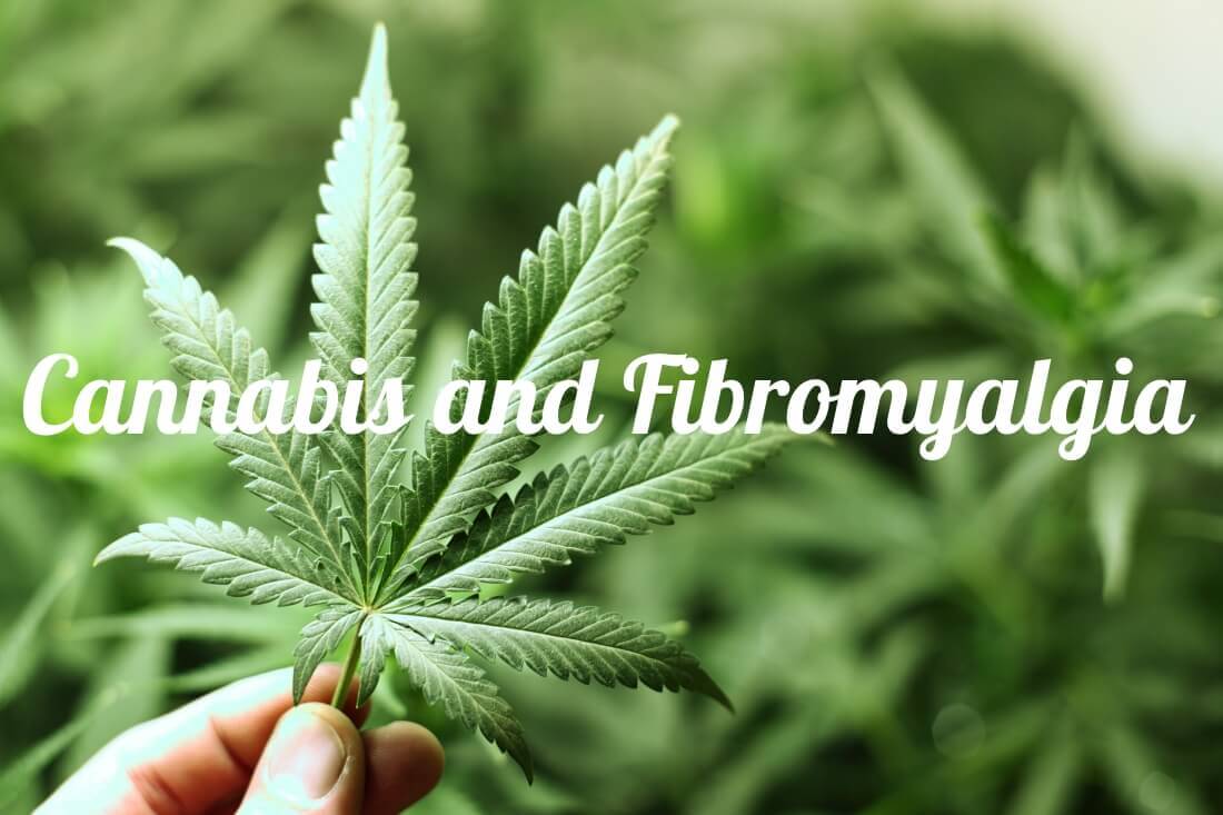 cannabis-and-fibromyalgia2.jpg