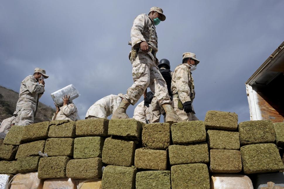 Why-Are-Mexican-Cartels-Giving-Up-Growing-Marijuana.jpg
